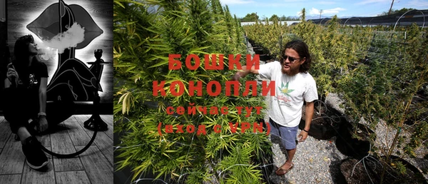 кокс Инта