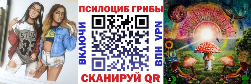 Псилоцибиновые грибы Psilocybine cubensis  Купить  Болохово 