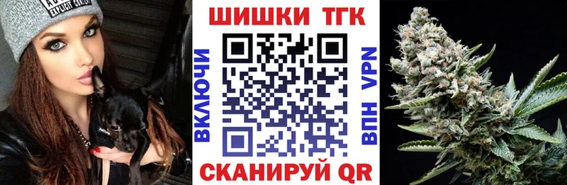 Купить закладки  Болохово  Шишки марихуана VHQ 